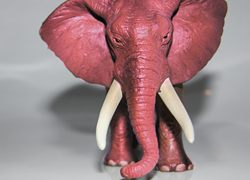 The pink elephant in the room