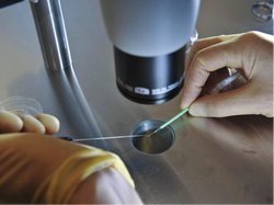 A scientist works during an IVF process on Aug. 11, 2008.