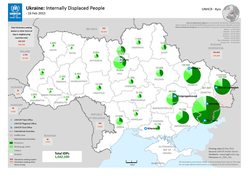 Map of Internal Displacement Statistics in Ukraine