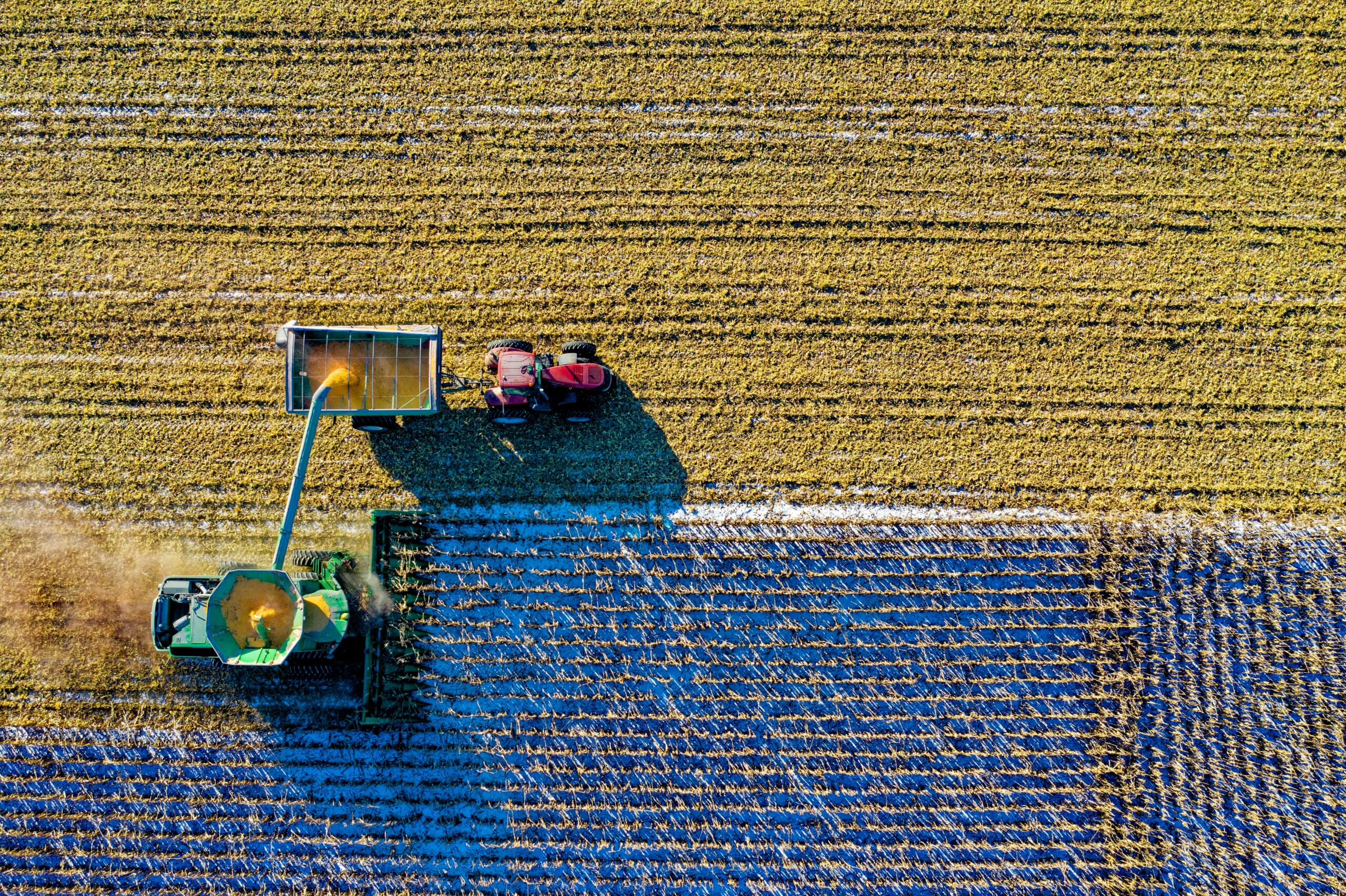 Photo uploaded by Tom Fisk, from Pexels.  https://www.pexels.com/photo/top-view-of-green-field-1595104/